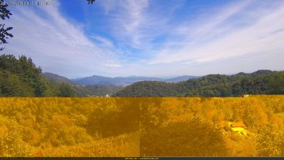 Webcam ore 14:15