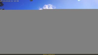 Webcam ore 11:15